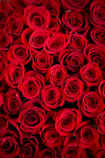 Valentine Romantic Concierge Delivery